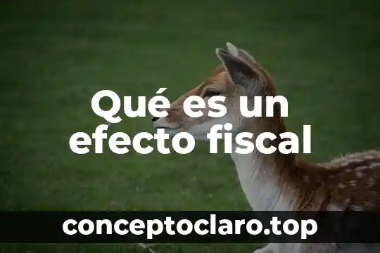 Qué es un efecto fiscal