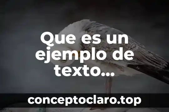 Que es un ejemplo representativo 6 Que es un ejemplo de texto informativo