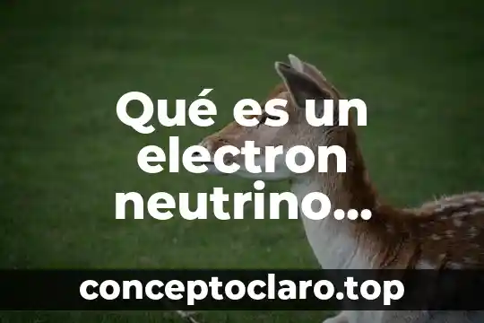 Qué es un electron neutrino funcion