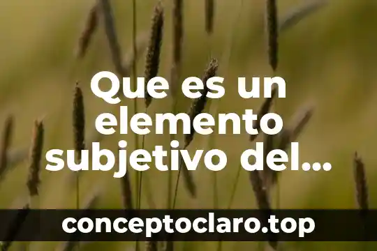 Que es un elemento subjetivo del delito