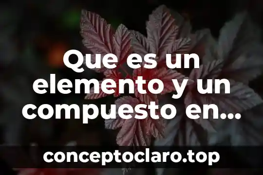 Que es h2se en quimica 3 Que es un elemento y un compuesto en quimica