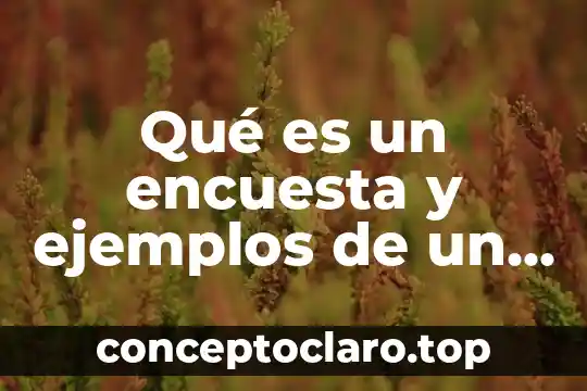 Qué es un encuesta y ejemplos de un encuesta