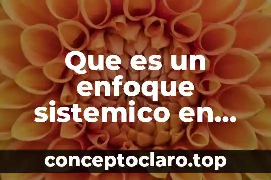Que es un enfoque sistemico en las empresas