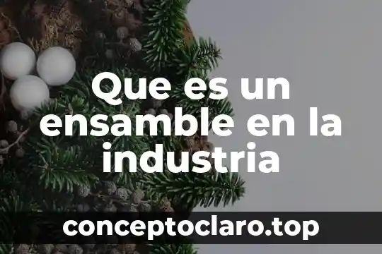 Que es un ensamble en la industria