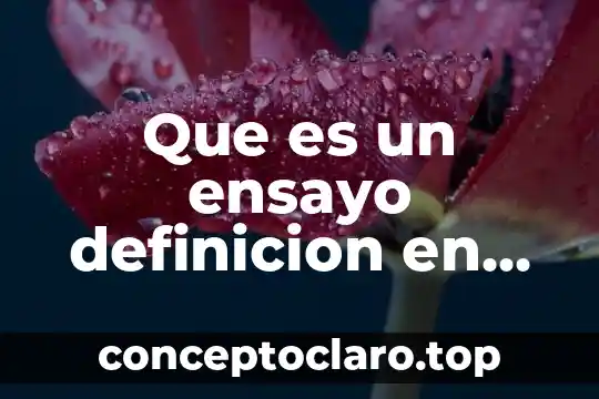Que es un ensayo definicion en ingles