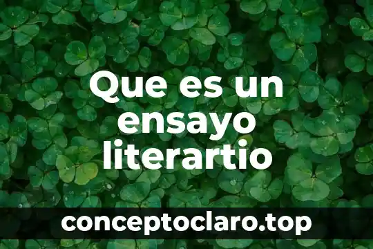Qué es un ensayo y qué tipos de ensayos existen 6 Que es un ensayo literartio