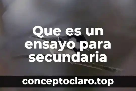 Que es infertilidad primaria y secundaria 3 Que es un ensayo para secundaria