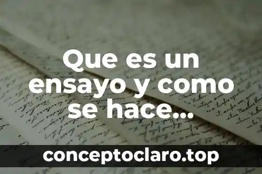 Que es un ensayo y como se hace primaria
