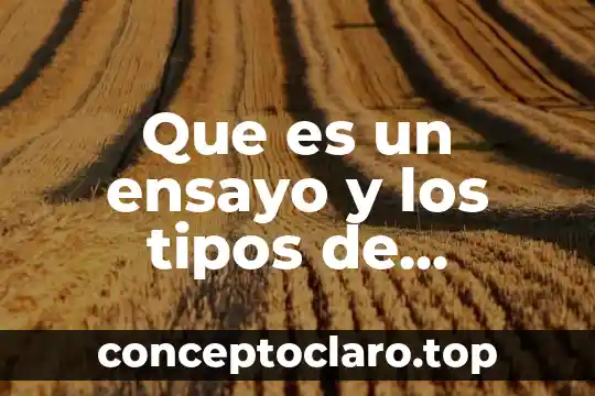 Que es un ensayo y los tipos de ensayo