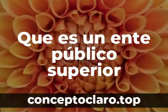 Que es un ente público superior