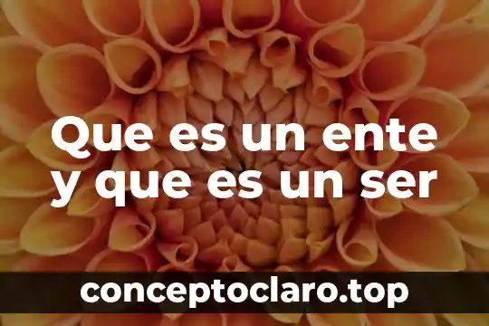 Que es un ente y que es un ser