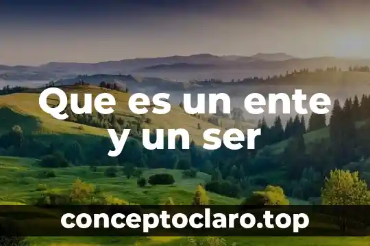 Que es un ente y un ser