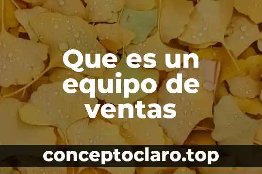 Que es un equipo de ventas