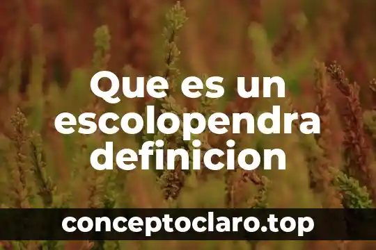 Que es un escolopendra definicion