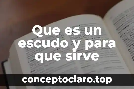 Que es un escudo y para que sirve