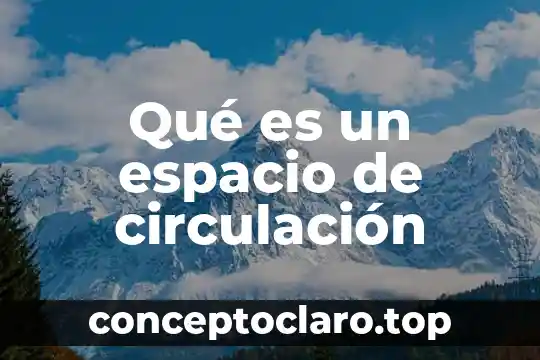 Que es lo que ayuda hacer circulación la sangre 4 Qué es un espacio de circulación