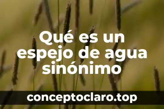 Qué es un espejo de agua sinónimo