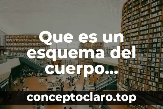 Que es un esquema del cuerpo humano