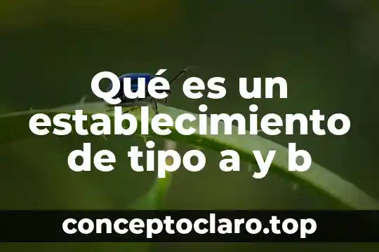 Qué es un establecimiento de tipo a y b