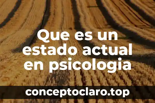 En psicología que es adaptación 8 Que es un estado actual en psicologia