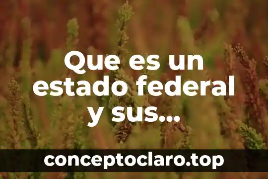 Registro Federal de Contribuyentes que es IJ 4 Que es un estado federal y sus caracteristicas