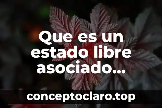 Libre de Yolanda que es biblioteca 8 Que es un estado libre asociado yahoo