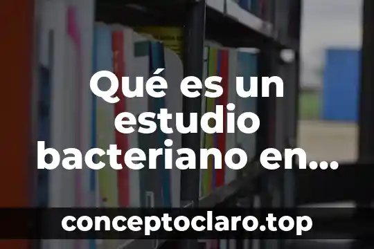 Define que es un estudio de mercado 3 Qué es un estudio bacteriano en el útero