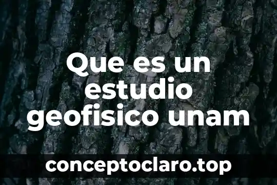 Que es un estudio geofisico unam