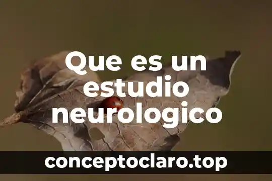 Que es culminar estudio 6 Que es un estudio neurologico