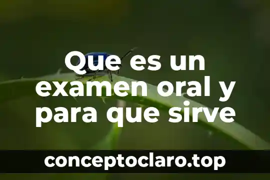 Qué es la palabra fantasma expresión oral y escrita 8 Que es un examen oral y para que sirve