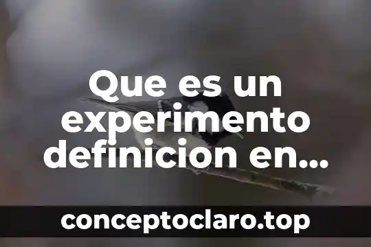 Que es gameplay en ingles 6 Que es un experimento definicion en ingles