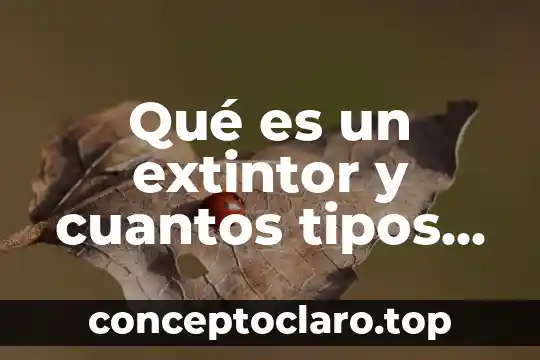 Qué es un extintor y cuantos tipos de extintores existen