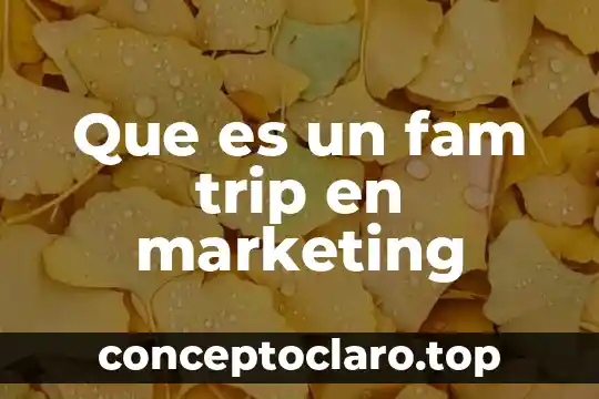 Qué es 4P en marketing 8 Que es un fam trip en marketing