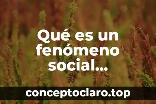 Que es fenomeno de estudio en metodologia 8 Qué es un fenómeno social contemporáneo