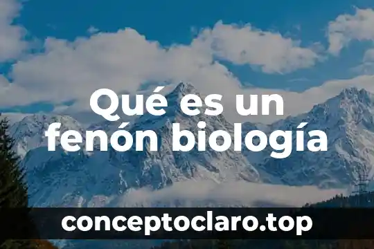 Qué es un fenón biología