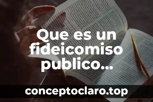 Que es un fideicomiso publico ejemplo