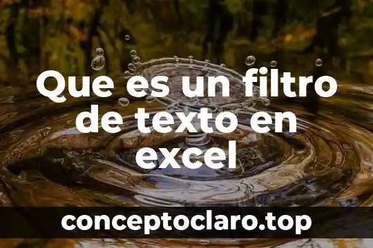 Que es filtro de salida 8 Que es un filtro de texto en excel