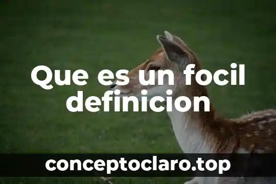 Que es un focil definicion