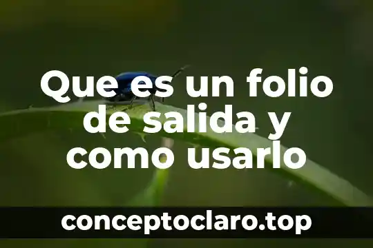 Qué es un número de folio 6 Que es un folio de salida y como usarlo