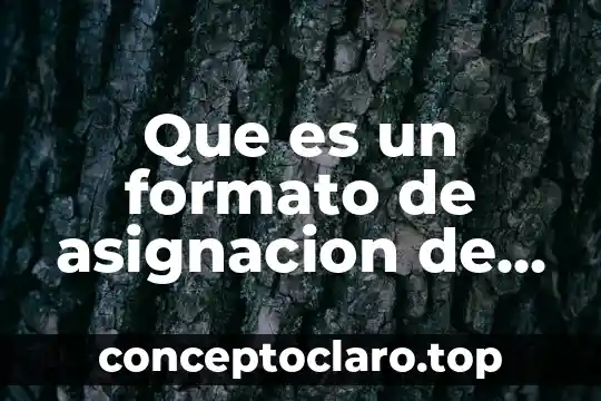 Que es un formato de asignacion de examen