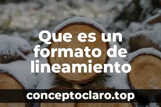 Que es la barra de herramienta de formato 5 Que es un formato de lineamiento
