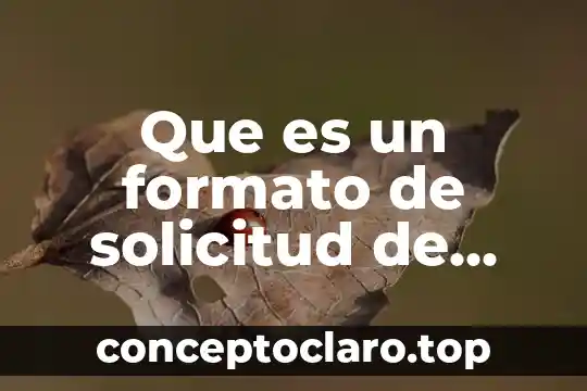 Que es un formato de solicitud de empleo