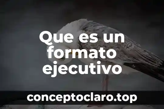 Que es un formato ejecutivo