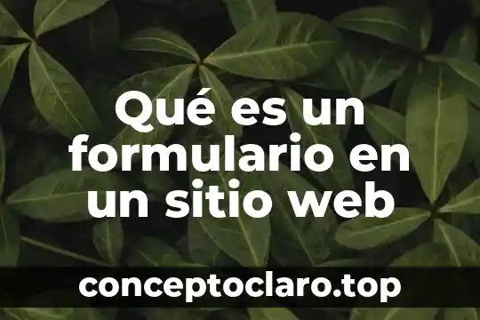 Qué es un formulario en un sitio web