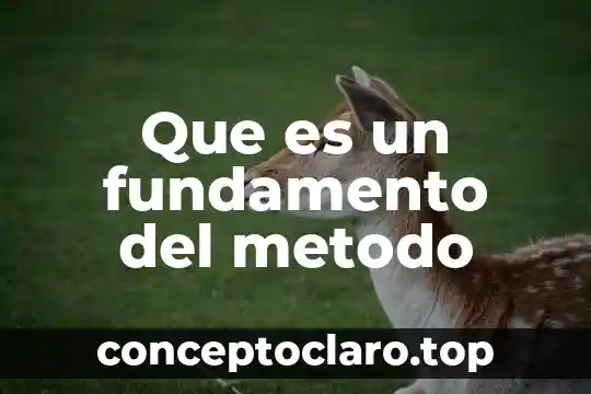 Que es el metodo de las diagonales 7 Que es un fundamento del metodo