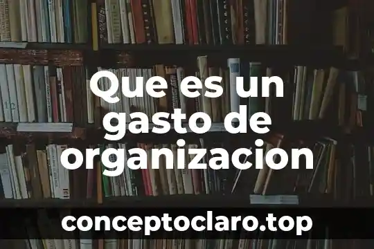 Que es organizacion bm 3 Que es un gasto de organizacion