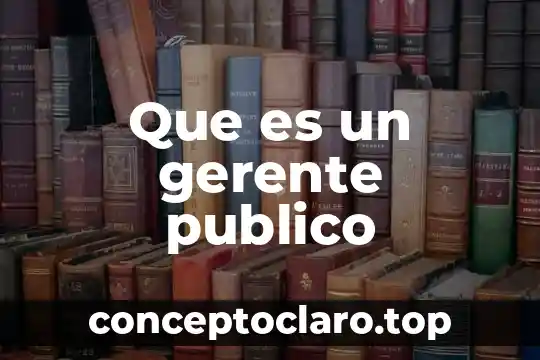 Que es un gerente publico