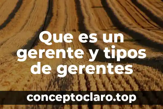 Que es un gerente y tipos de gerentes