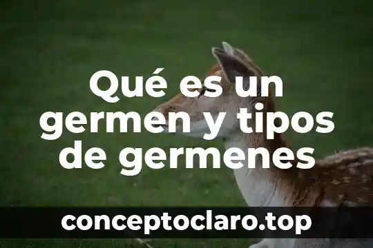 Qué es un germen y tipos de germenes