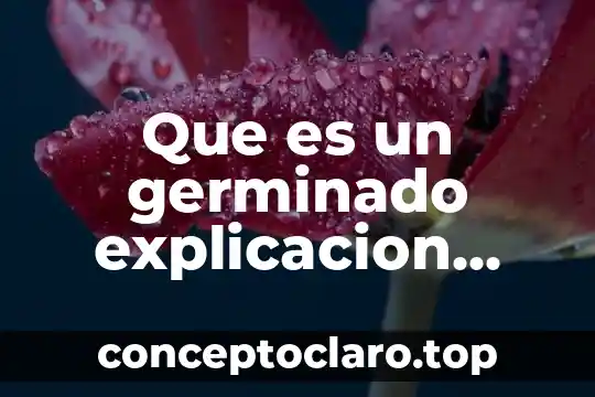 Que es fila explicacion para niños 8 Que es un germinado explicacion para niños